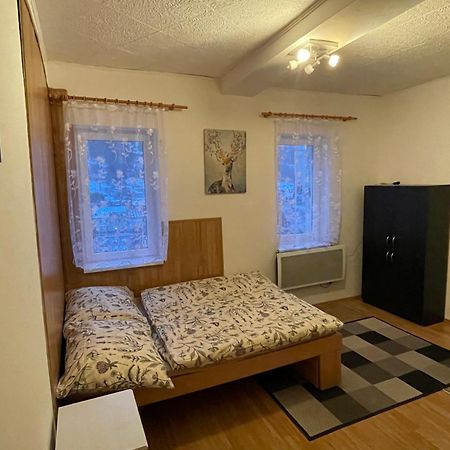 Horsky Apartman Jachymov Bagian luar foto
